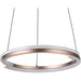 Stylish Modern Design Bronze and Black LED Indoor Pendant Ceiling Light