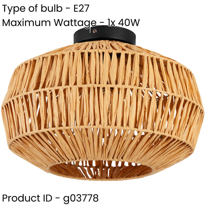 2 PACK Stylish Modern Black Ceiling Light for Home Perfect for Any Room