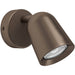 Modern Design Dark Bronze LED Ceiling Spotlight for Any Room Stylish Indoor Lighting