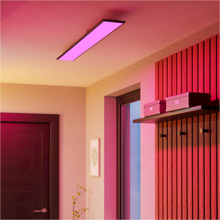 2 PACK Sleek Modern Black Ceiling Light Contemporary Indoor Lighting for Stylish Homes