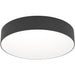 Stylish Modern Black Ceiling Light for Minimalist Indoor Spaces
