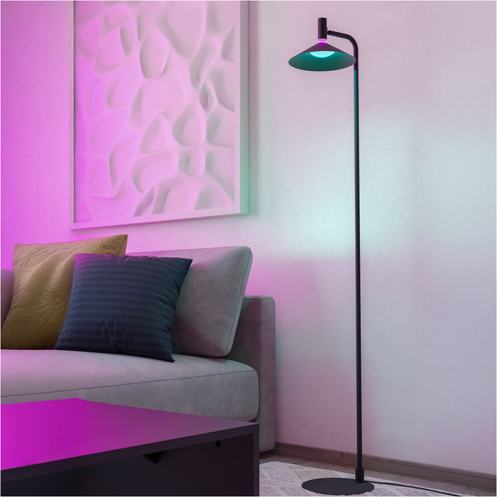Stylish Modern Black Floor Lamp for Home Elegant Indoor Lighting Solution