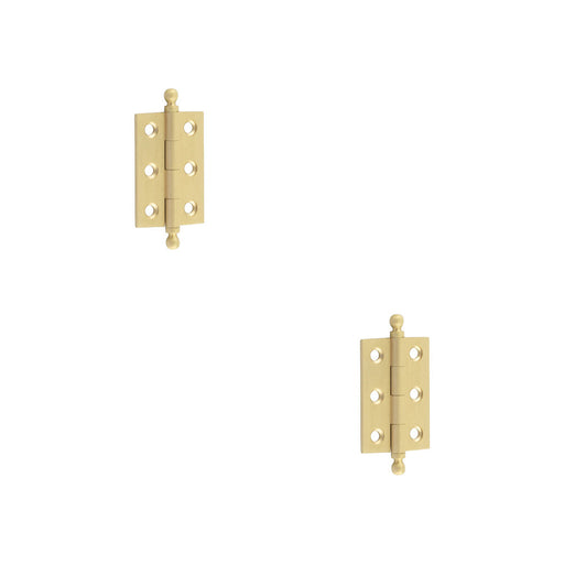 PACK Elegant Satin Brass Finial Hinge 50x35mm Cabinet Doors Solid Brass Door Hinges (1)