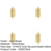 PACK Elegant Satin Brass Finial Hinge 50x35mm Cabinet Doors Solid Brass Door Hinges-1