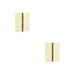 PACK High-Quality Polished Brass Projection Hinge 102x102x3mm Doors Cabinets Door Hinges (1)