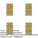 PACK Premium Polished Brass Plain Butt Hinge 76x42x1.5mm Durable Door Hardware Door Hinges-1