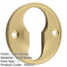 Elegant 40mm Satin Brass Euro Profile Escutcheon Luxury Homes Solid Brass Hole Cover-1