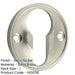 Elegant 40mm Euro Profile Escutcheon Satin Nickel Finish Solid Brass Hole Cover-1