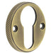 Elegant Knurled Euro Profile Escutcheon Antique Brass Stylish Doors Solid Brass Hole Cover