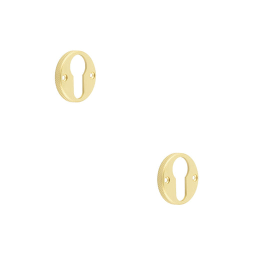 PACK Stylish Knurled Euro Profile Escutcheon Satin Brass Luxury Doors Solid Brass Hole Cover (1)