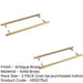 PACK Antique Brass Pull Handle 425mm Back Back Design Stylish Interiors Door Handle (1)-1