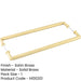 Satin Brass Back Back Pull Handle 425mm Stylish Design Door Handle-1