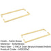 PACK Satin Brass Back Back Pull Handle 425mm Stylish Design Door Handle (1)-1