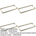 PACK Antique Brass Pull Handle 425mm Cabinets Doors Door Handle (1)-1