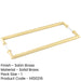 Elegant 425mm Satin Brass Pull Handle Modern Homes Door Handle-1