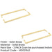 PACK Elegant 425mm Satin Brass Pull Handle Modern Homes Door Handle (1)-1