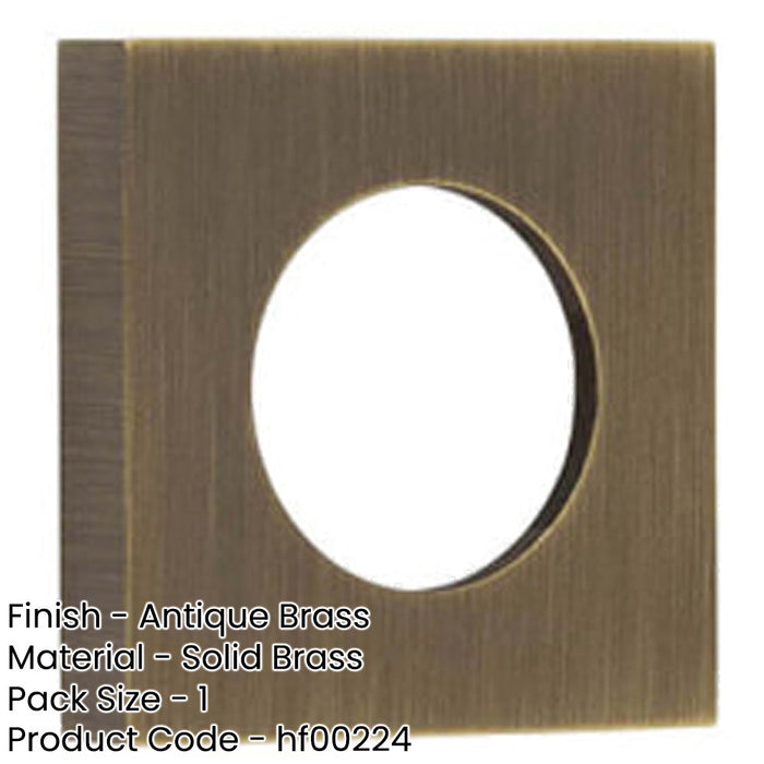 Stylish Square Plain Outer Rose Antique Brass Finish Door Handle-1