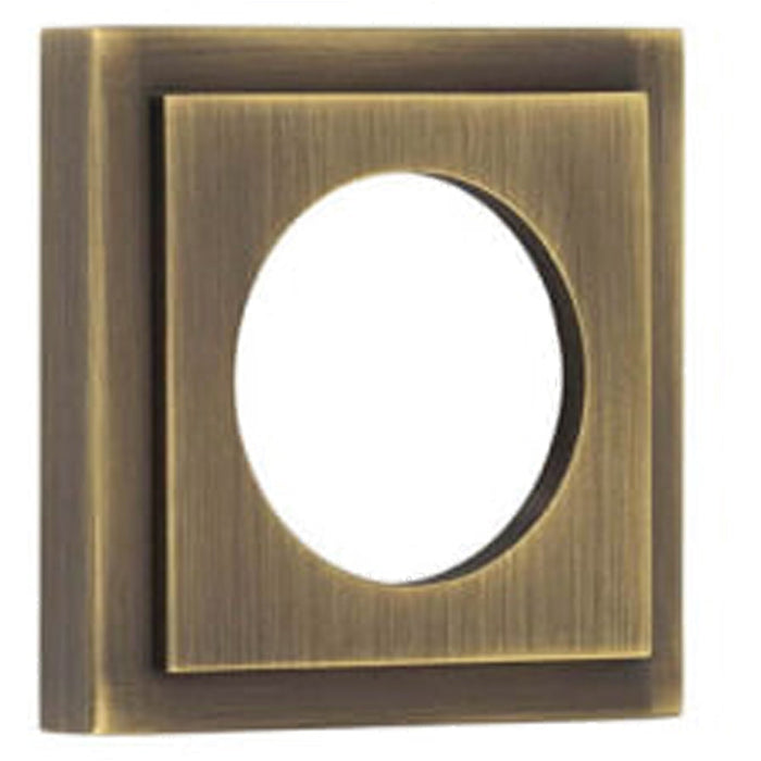 Antique Brass Square Stepped Outer Rose Doors Door Handle