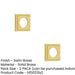 PACK Elegant Square Satin Brass Outer Rose Doors Door Handle (1)-1