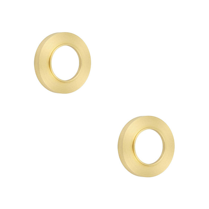 PACK Elegant Satin Brass Plain Outer Roses Doors Door Handle (1)