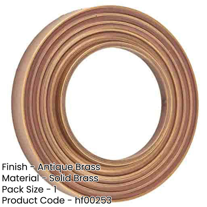 Reeded Outer Roses Antique Brass Elegant Door Hardware Door Handle-1