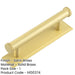 Stylish 96mm Satin Brass Cabinet Handle with Stepped Backplate Kitchen Drawer Pull Handle-1