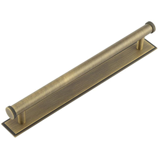 Stylish 224mm Antique Brass Cabinet Handle with Stepped Backplate Kitchen Drawer Pull Handle