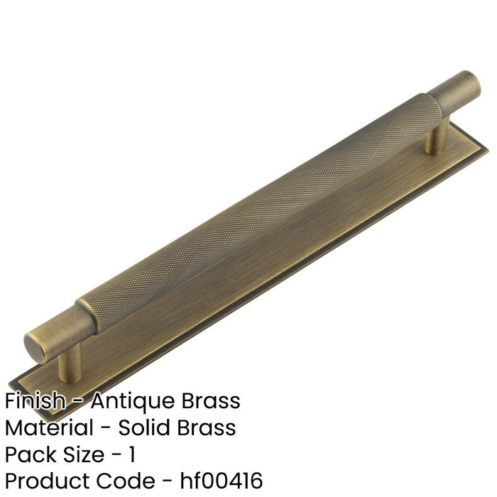 Antique Brass Cabinet Handle with Stepped Backplate 224mm Ctrs Kitchen Drawer Pull Handle-1