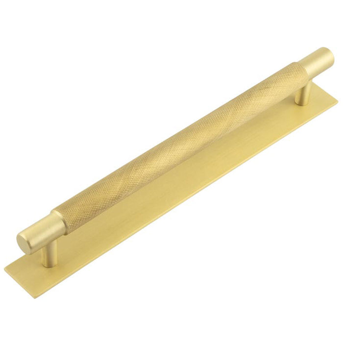 Stylish 224mm Satin Brass Cabinet Handle with Plain Backplate Kitchen Drawer Pull Handle