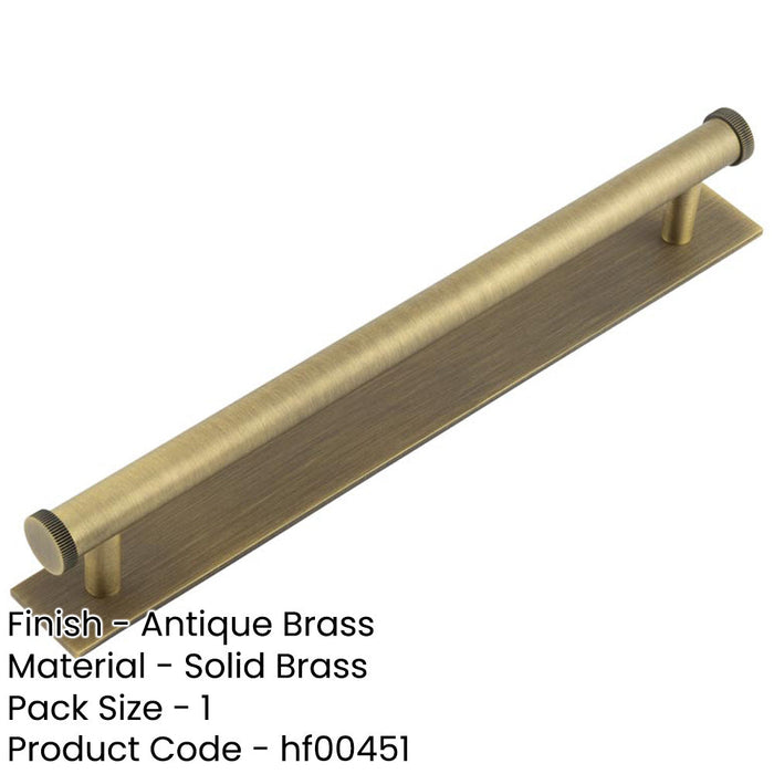 Antique Brass Cabinet Handle 224mm Ctrs with Plain Backplate Kitchen Drawer Pull Handle-1