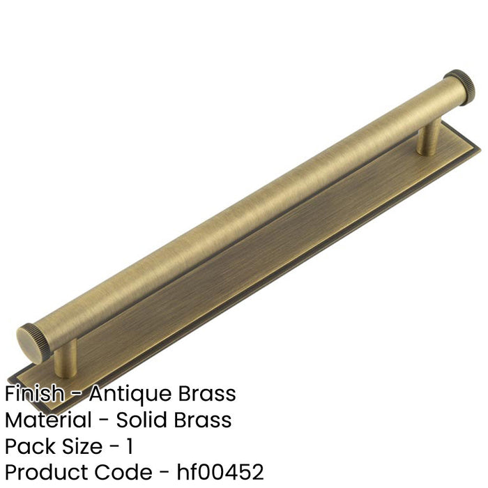 Antique Brass Cabinet Handle 224mm with Stepped Backplate Stylish Interiors Kitchen Drawer Pull Handle-1