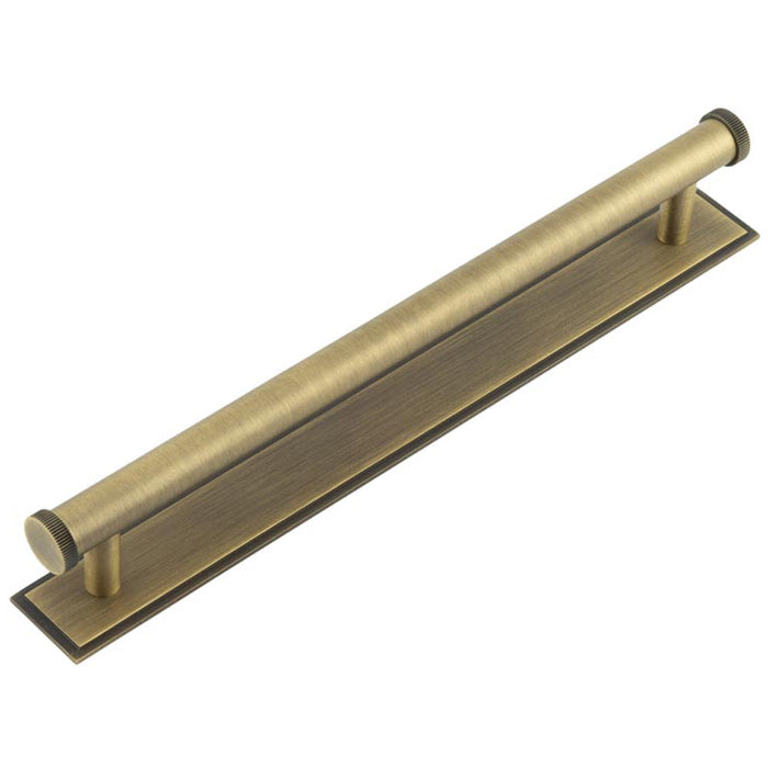 Antique Brass Cabinet Handle 224mm with Stepped Backplate Stylish Interiors Kitchen Drawer Pull Handle