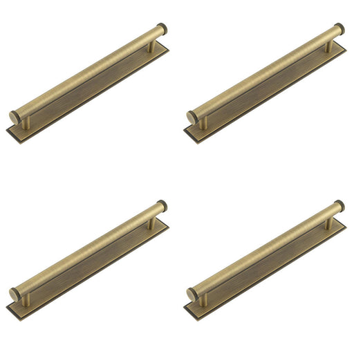 PACK Antique Brass Cabinet Handle 224mm with Stepped Backplate Stylish Interiors Kitchen Drawer Pull Handle