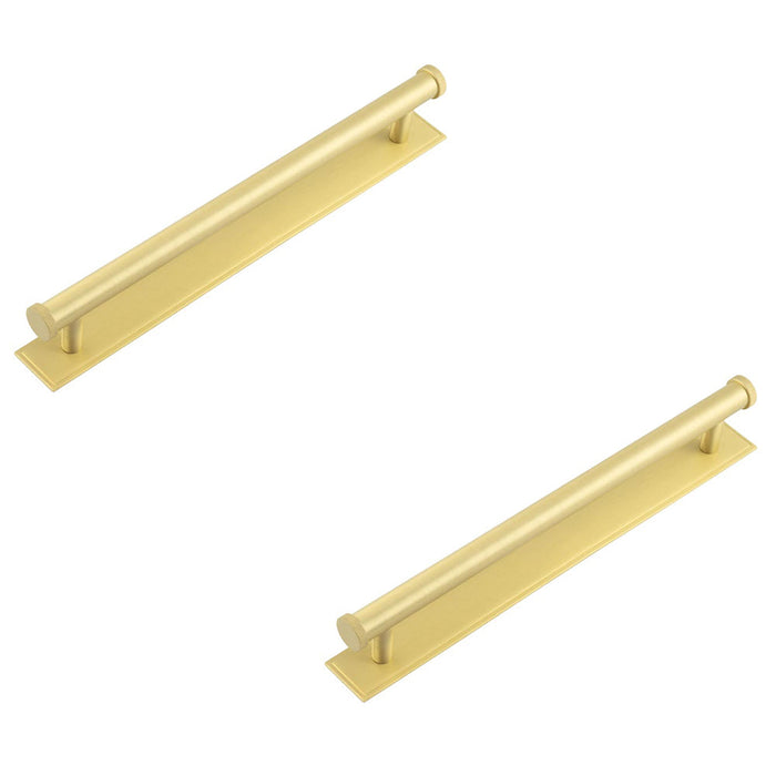 PACK Stylish 224mm Satin Brass Cabinet Handle with Stepped Backplate Kitchen Drawer Pull Handle (3)