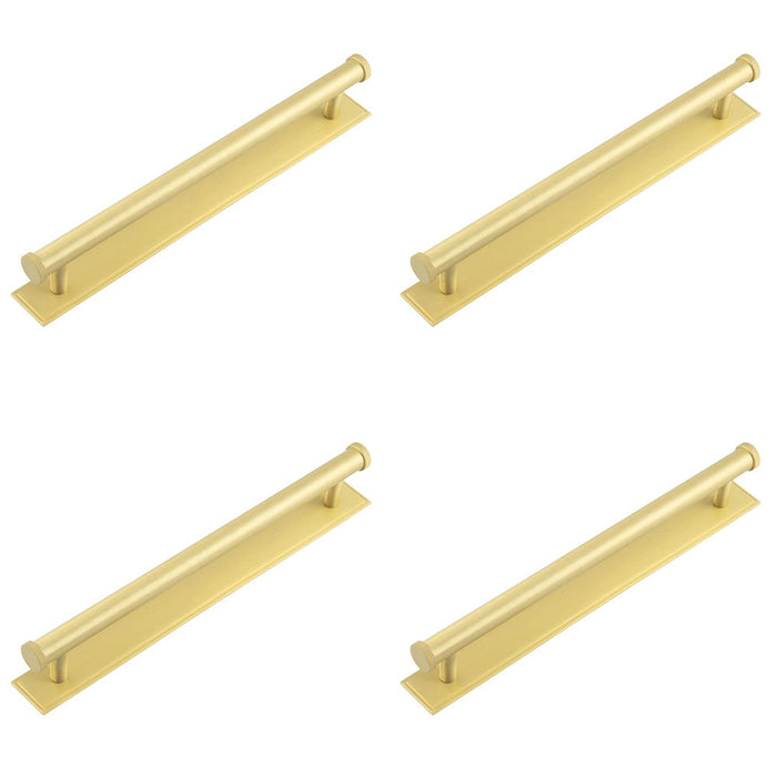 PACK Stylish 224mm Satin Brass Cabinet Handle with Stepped Backplate Kitchen Drawer Pull Handle (1)