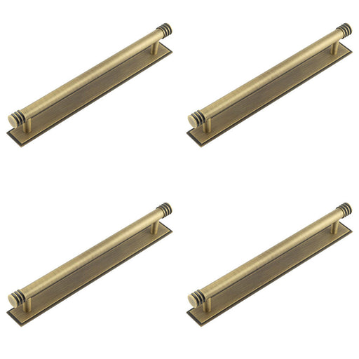 PACK Elegant Antique Brass Cabinet Handle with Stepped Backplate 224mm Center Kitchen Drawer Pull Handle