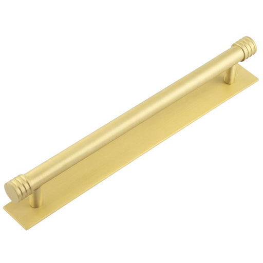 Elegant 224mm Satin Brass Cabinet Handle with Plain Backplate Kitchen Drawer Pull Handle