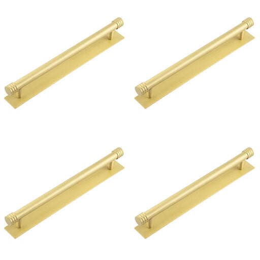 PACK Elegant 224mm Satin Brass Cabinet Handle with Plain Backplate Kitchen Drawer Pull Handle