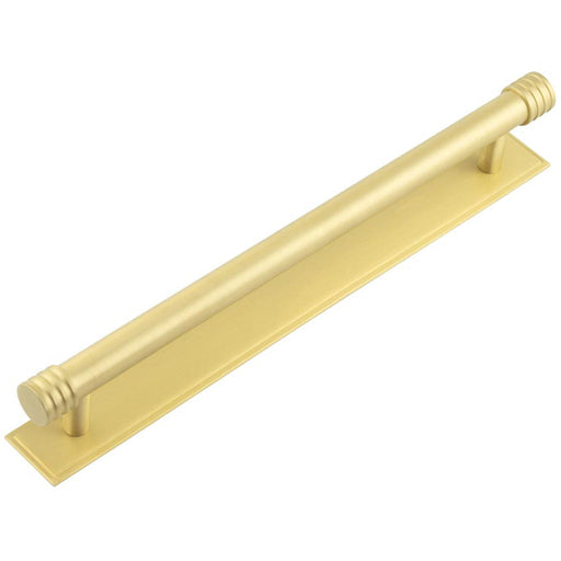 Elegant Satin Brass Cabinet Handle with 224mm Centers Stepped Backplate Kitchen Drawer Pull Handle