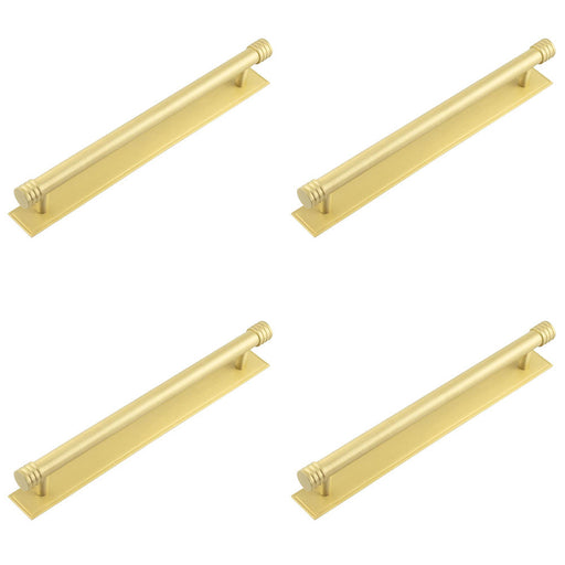 PACK Elegant Satin Brass Cabinet Handle with 224mm Centers Stepped Backplate Kitchen Drawer Pull Handle