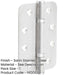 High-Quality Grade Radiused Polymer Bearing Hinges Satin Stainless Steel Finish 30/60 Fire Door Hinge-1