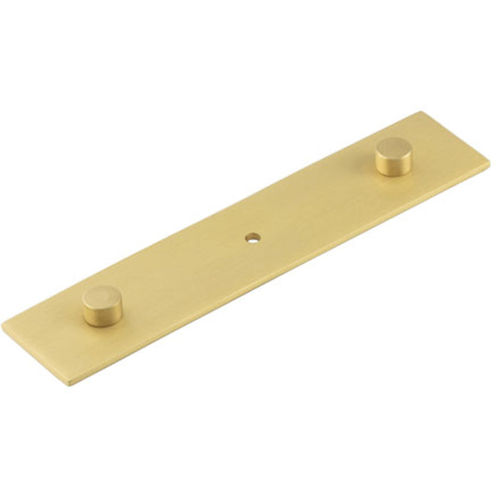 Elegant Satin Brass Backplate Cupboard Knob 140x30mm Finishes Available Kitchen Cabinet Knob