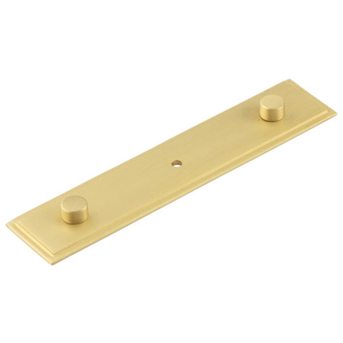 Elegant Satin Brass Backplate Cupboard Knob 140x30mm Kitchen Cabinet Knob