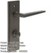 Elegant Dark Bronze Door Handle with Backplate Bathrooms Solid Brass Interior Handle-1