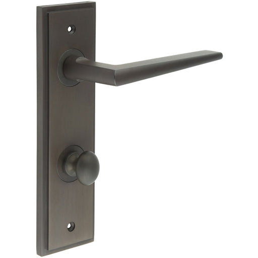 Elegant Dark Bronze Door Handle with Backplate Bathrooms Solid Brass Interior Handle