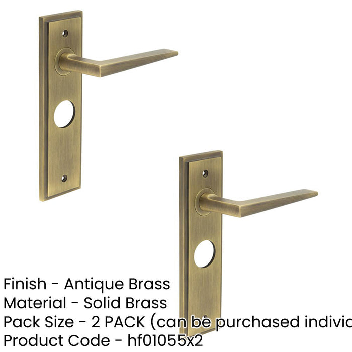 PACK Antique Brass Door Handle with Backplate Bathrooms Homes Solid Brass Interior Handle (1)-1