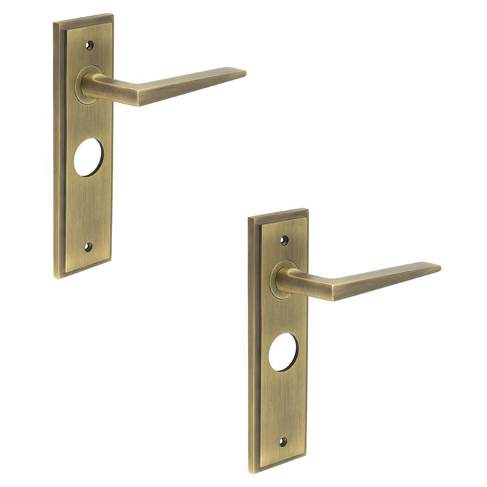 PACK Antique Brass Door Handle with Backplate Bathrooms Homes Solid Brass Interior Handle (1)