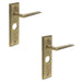 PACK Antique Brass Door Handle with Backplate Bathrooms Homes Solid Brass Interior Handle (1)