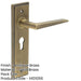 Elegant Antique Brass Door Handle with Euro Backplate Solid Brass Interior Handle-1