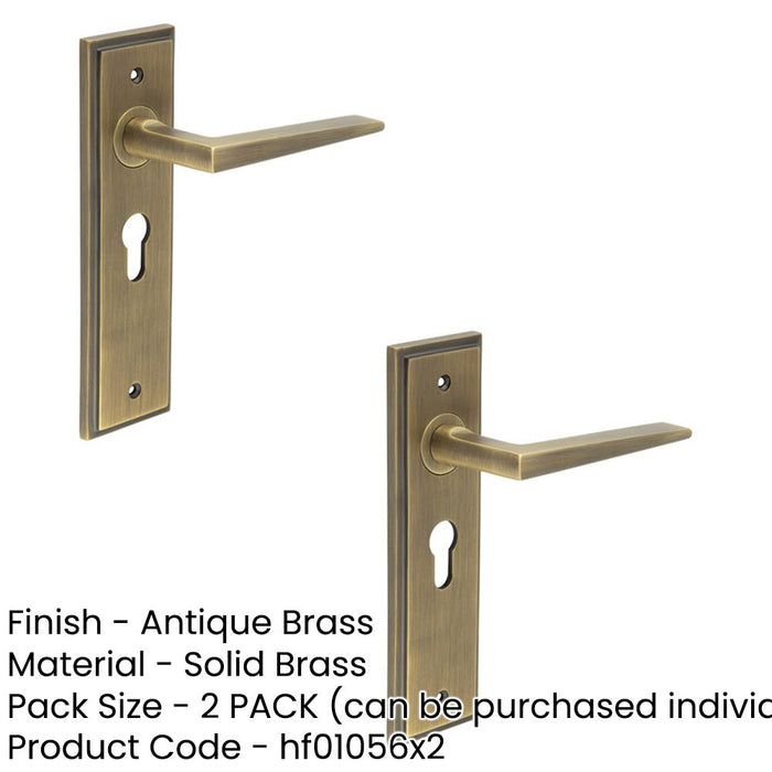PACK Elegant Antique Brass Door Handle with Euro Backplate Solid Brass Interior Handle (4)-1